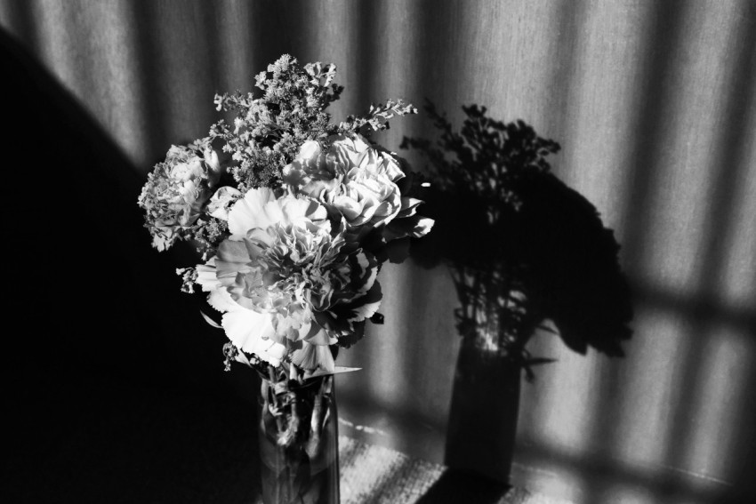 Пускай зимуют нежные слова