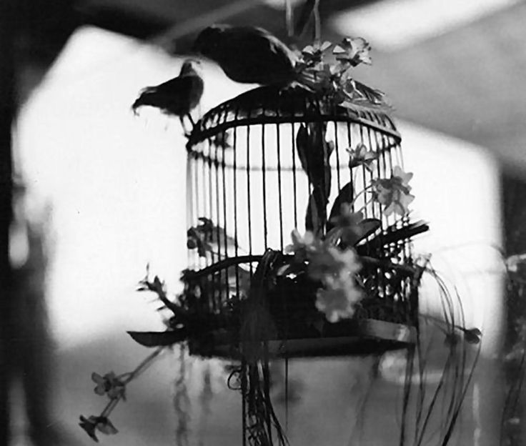 Но если бы не ты...