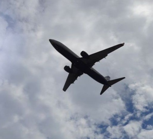 Лётчик сивой птицы