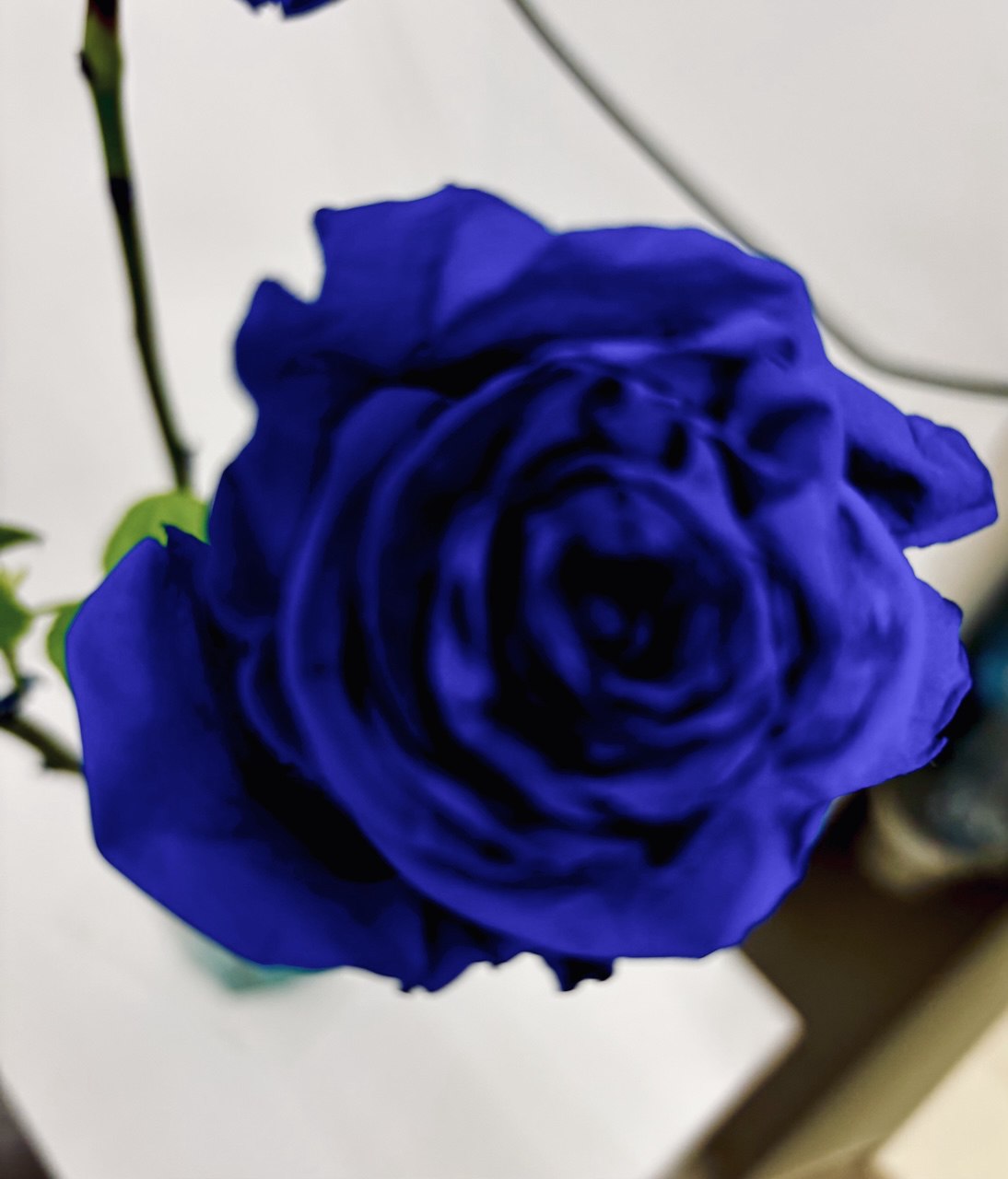 Мистическая роза