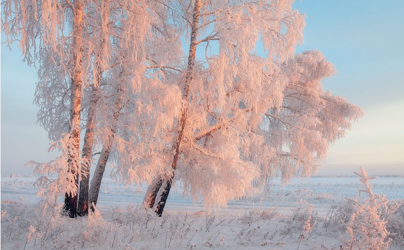 Свидание с малой Родиной