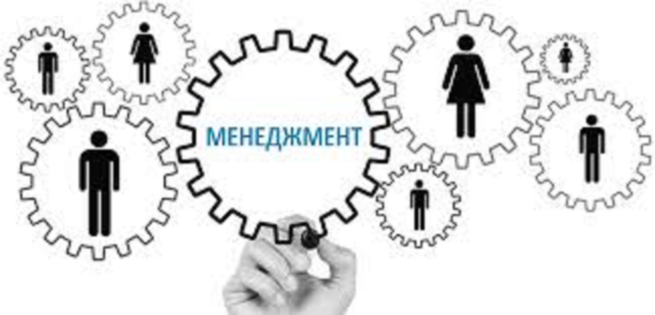О специальности - Менеджмент