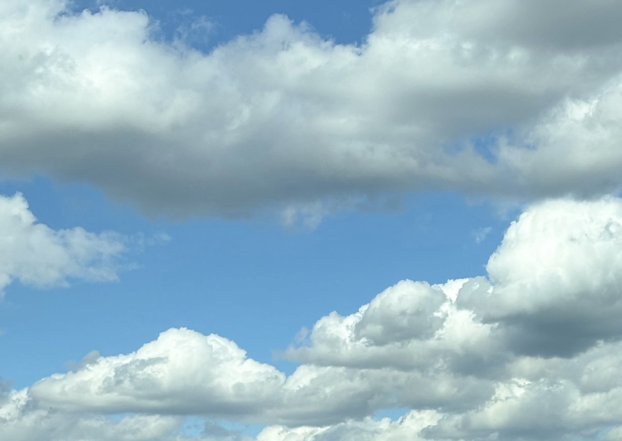 Апрельский холод