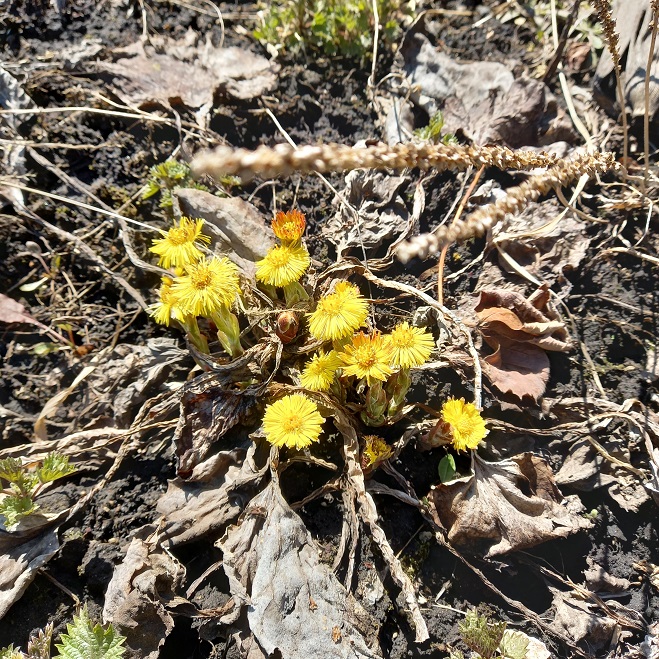 Он был всегда в душе казак