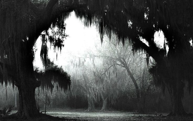 Реквием по жизни