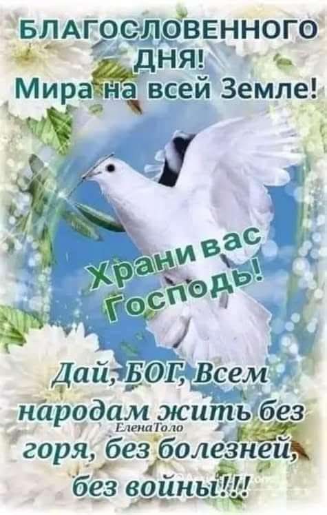 В моей квартире...