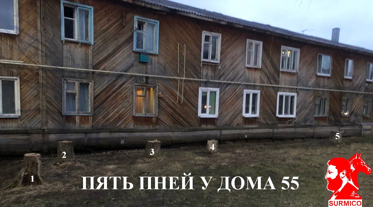 Пять пней у дома полста пять