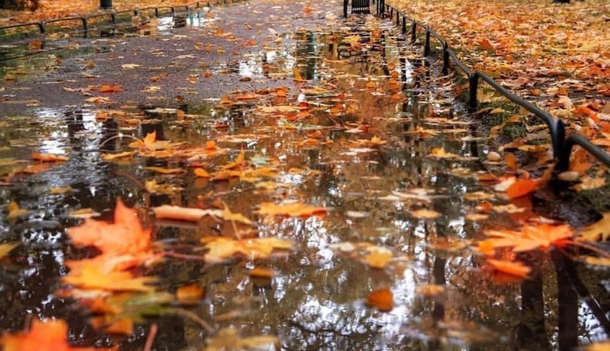 Навстречу грусти... песня