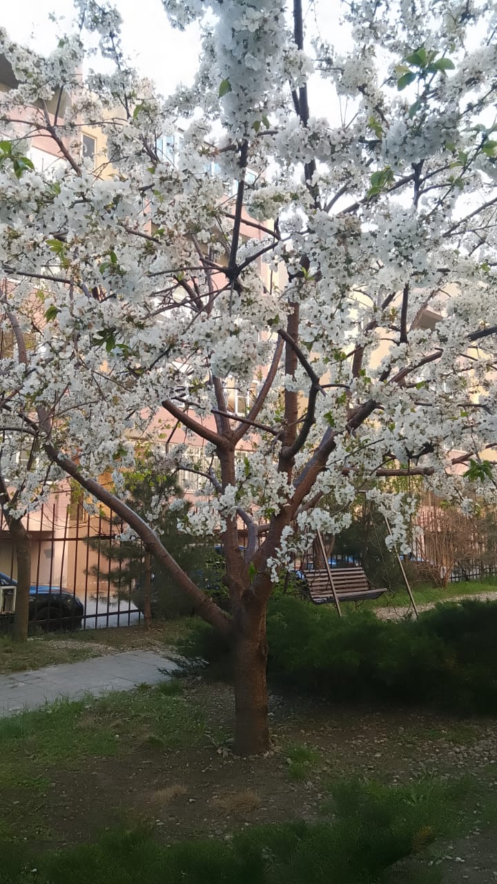 Пожалей нас солнышко!