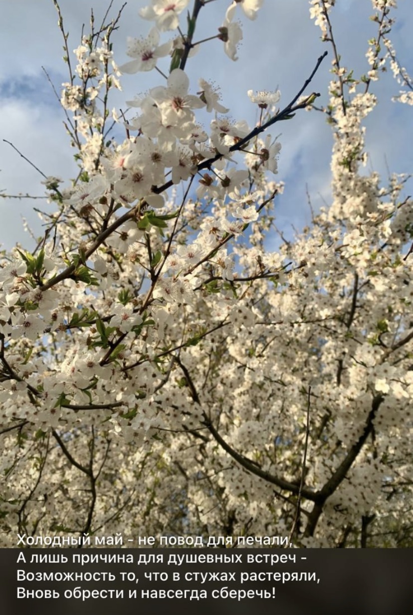 холодный май