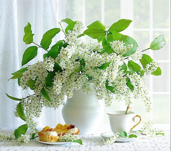 Экспромтиус майский. Экспромты