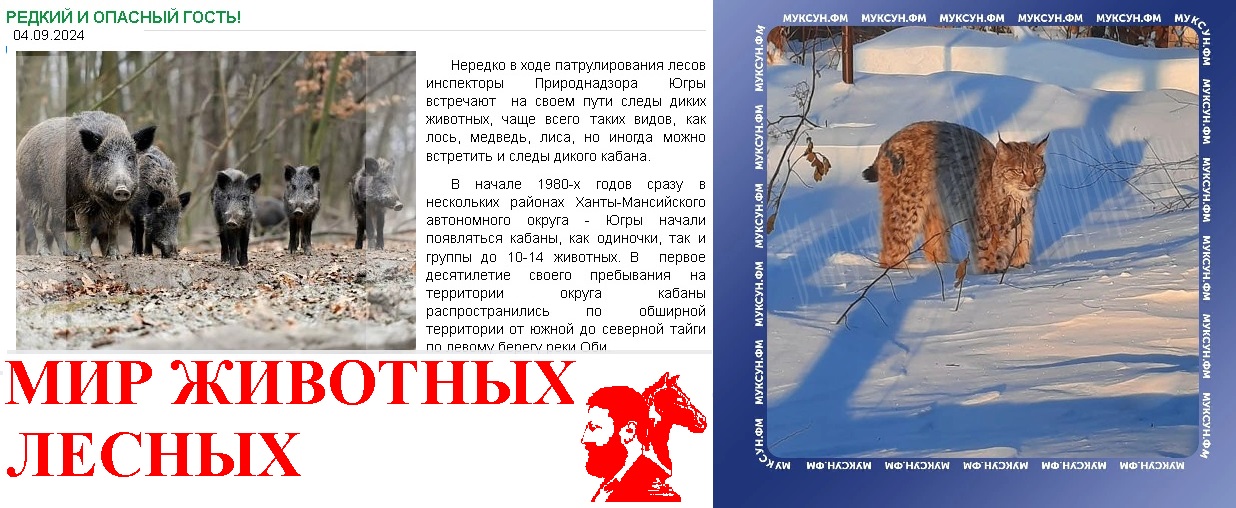 Мир животных лесных