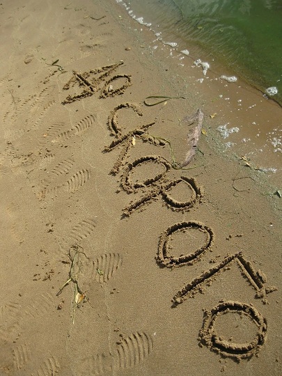 До скорого!..