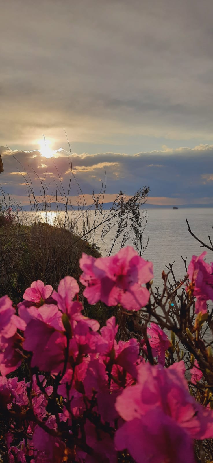 Распахнувши сердце