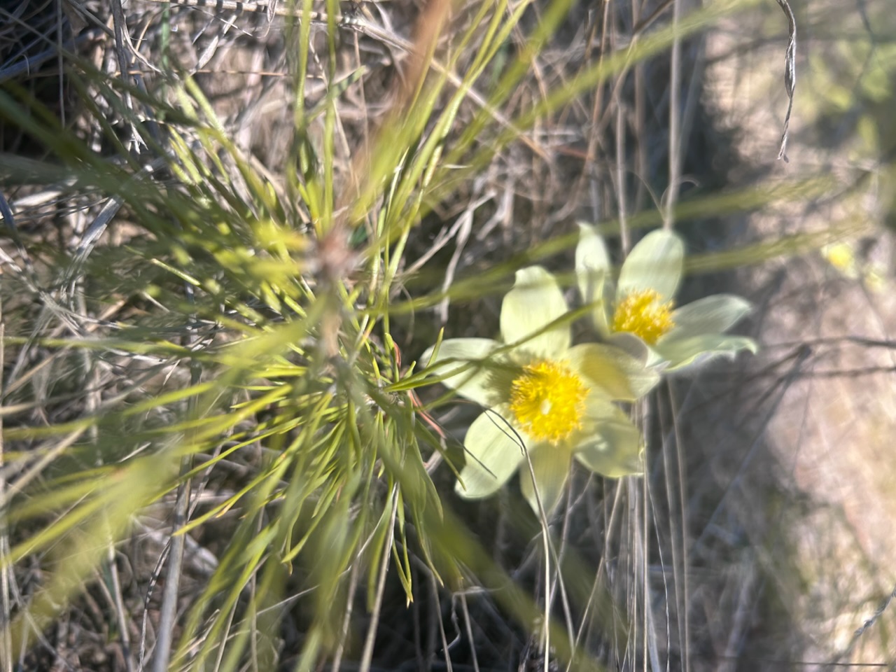 Но как-то на поляночку