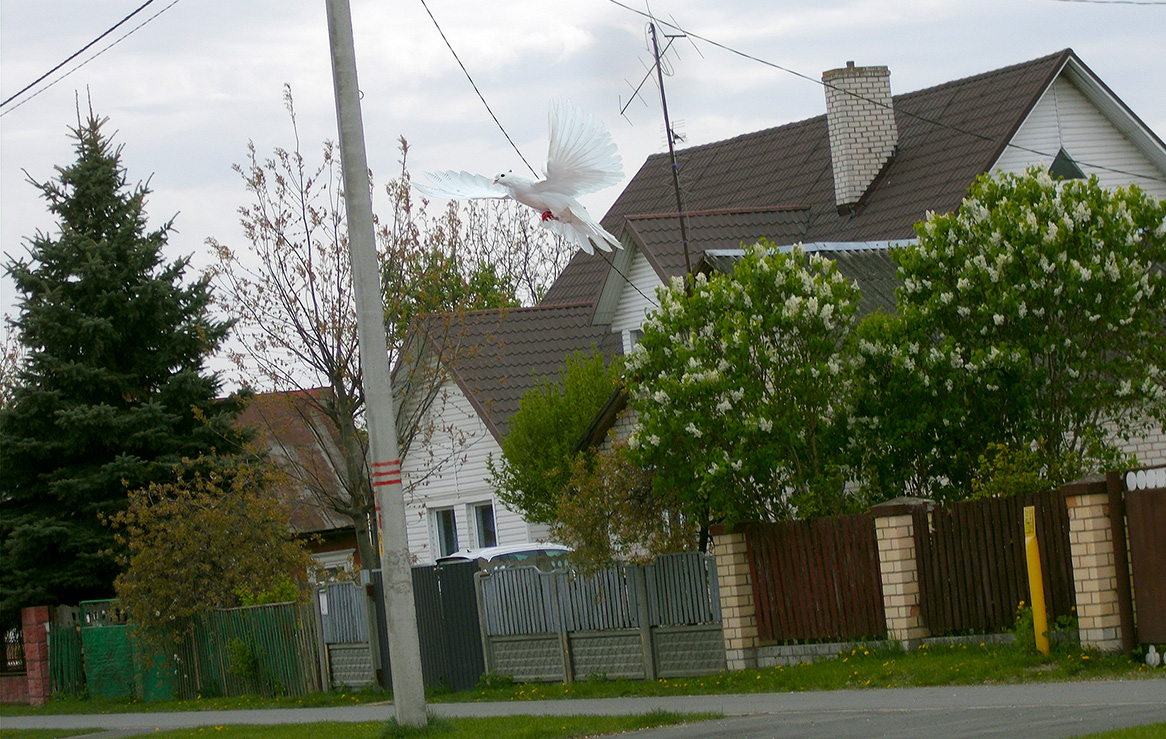 Да, выдно, мало вэльмы солы