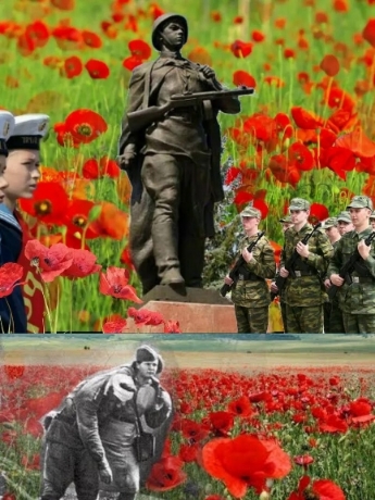 красные маки