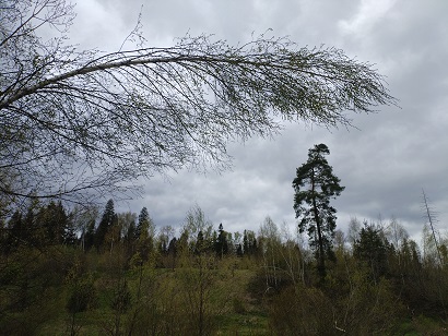 2025г. Давайте вспомним о любви. 1255