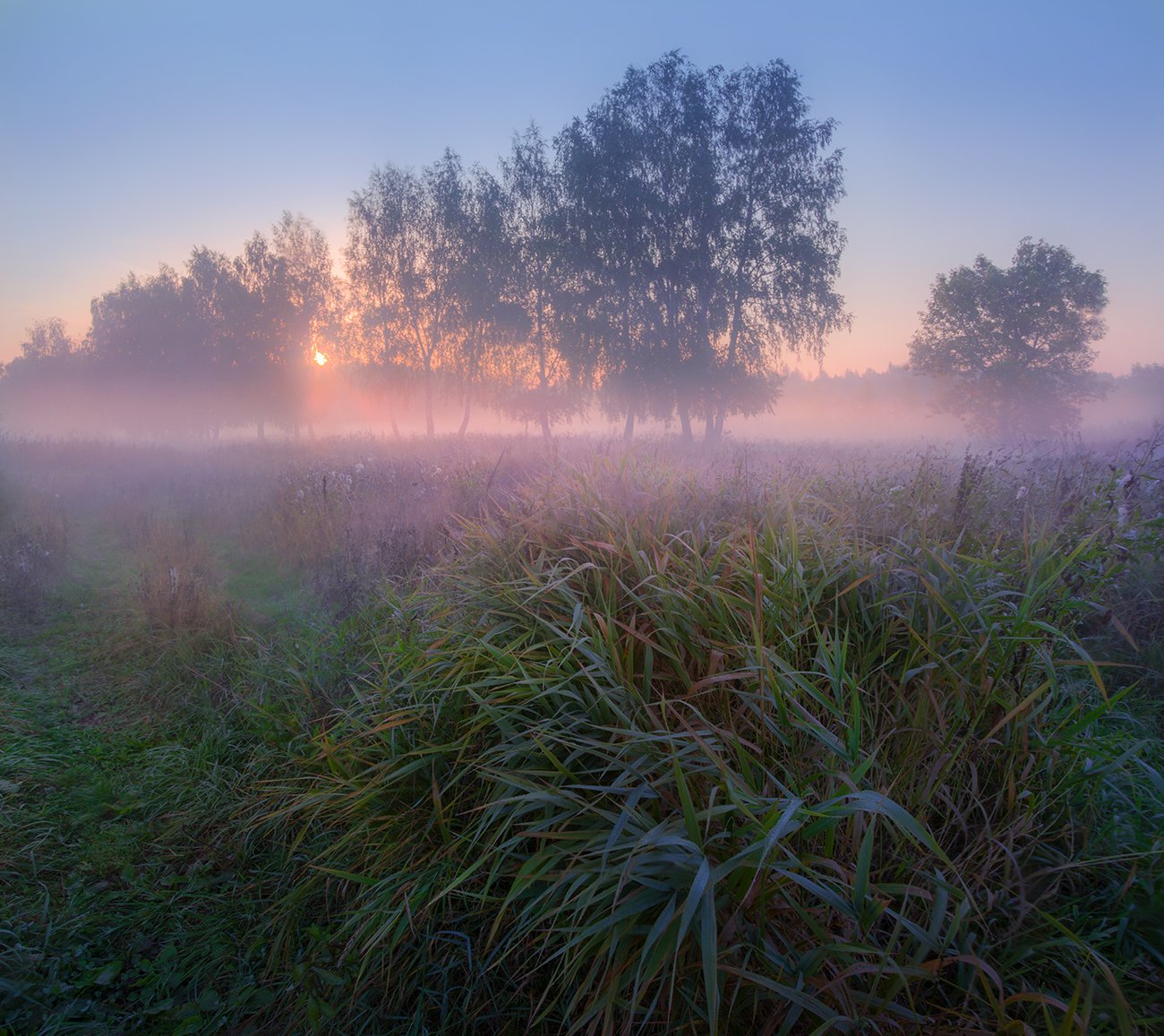 Майским утром