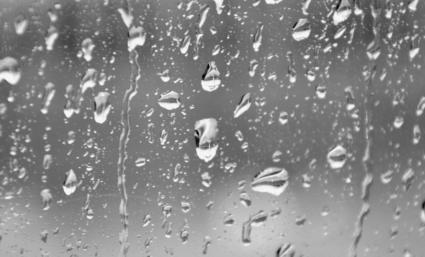 Вот дождь пошел