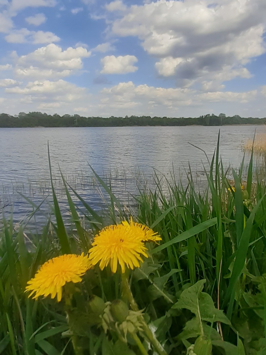 Когда бы только знали звёзды...