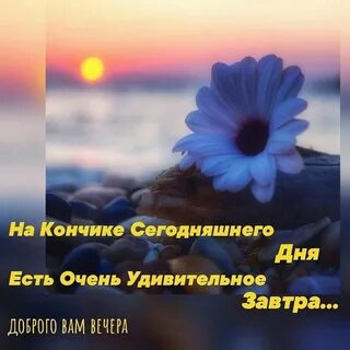 Сегодняшний день