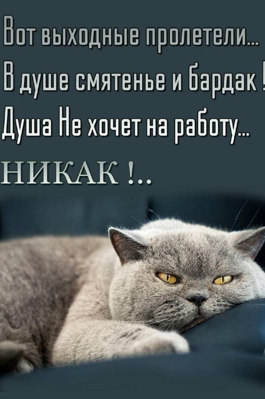 Вот выходные пролетели...