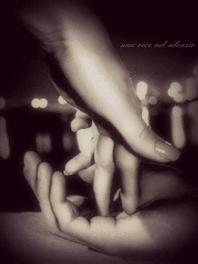 24. А. Ш. Ягненок