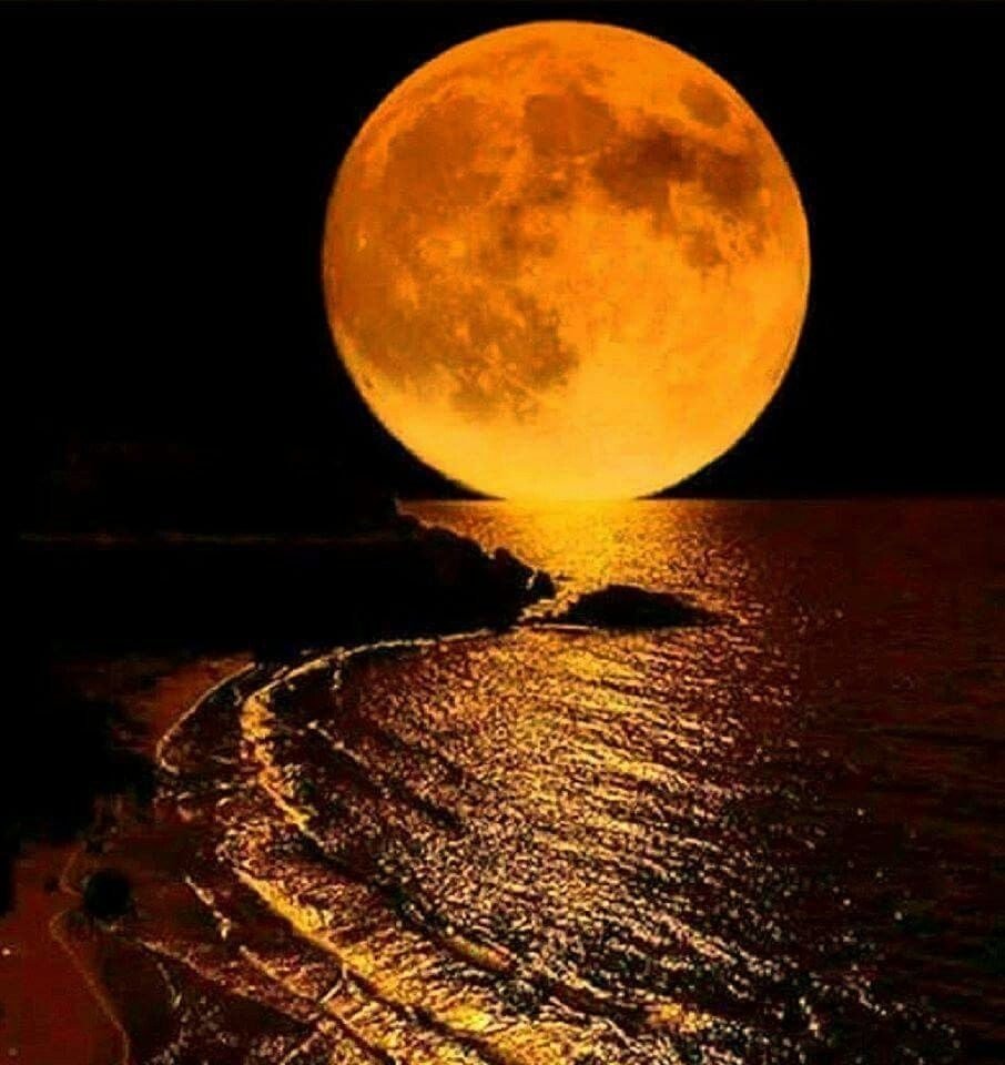 Слова и вздохи