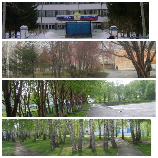 Родное
