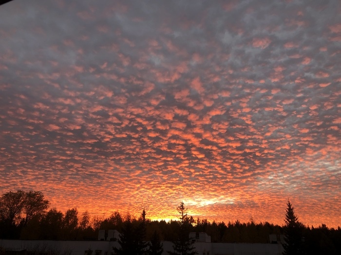 Уходит день, оставив без ответа...