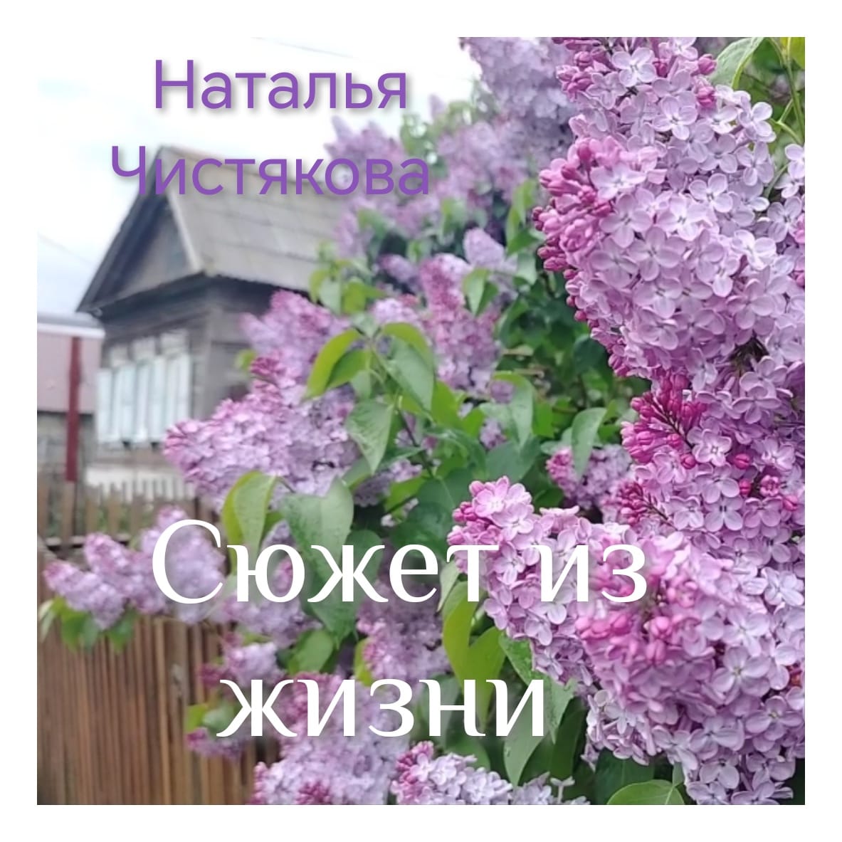 Сюжет из жизни