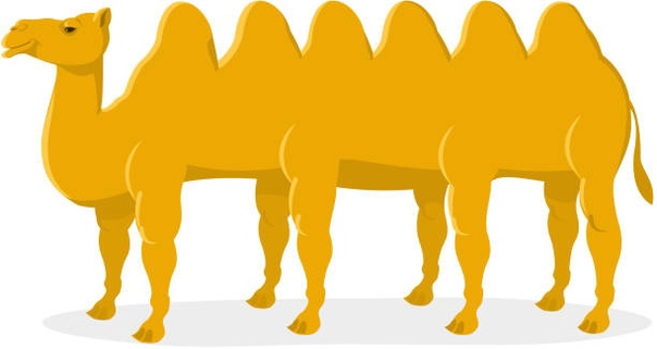 ВеРбЛюЖьЯ гРаДаЦиЯ