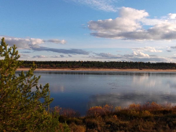 Белая ночь. 2949