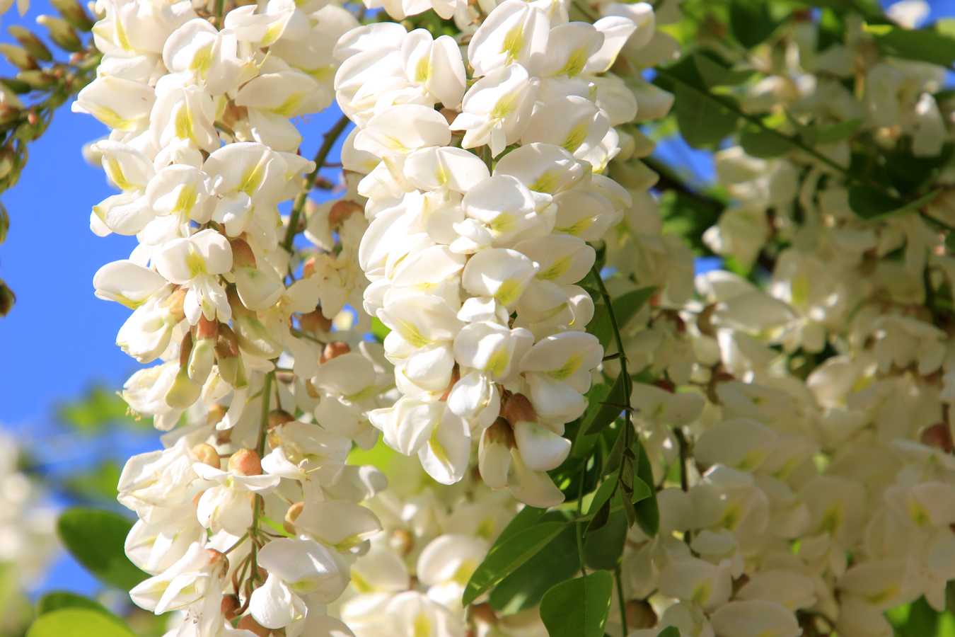 Это тоже часть природы