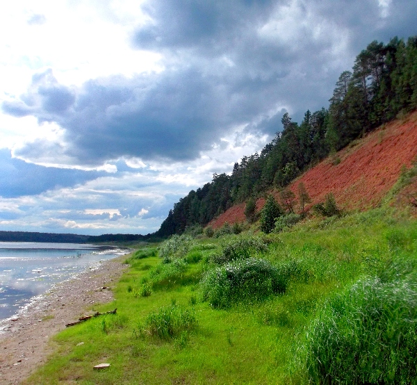 Белая ночь. 2951