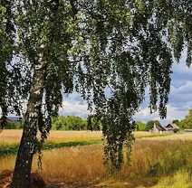 Ты просто Родина моя