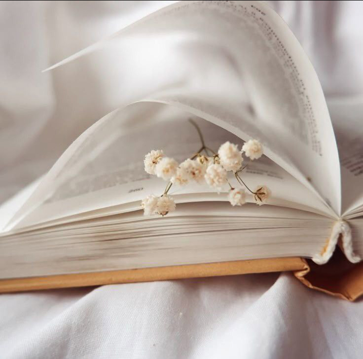 Между страниц