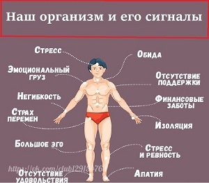 Есть запрос!