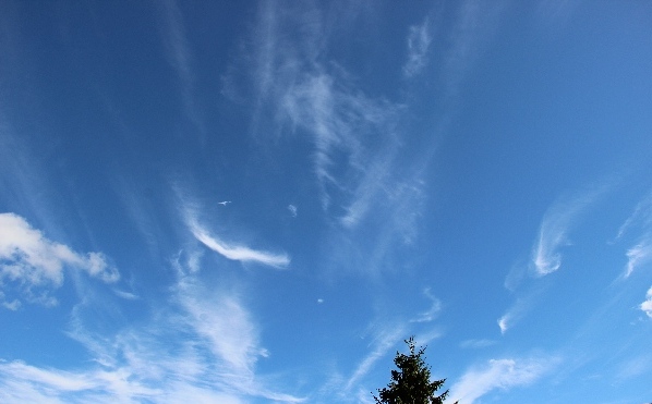 Белая ночь. 2955