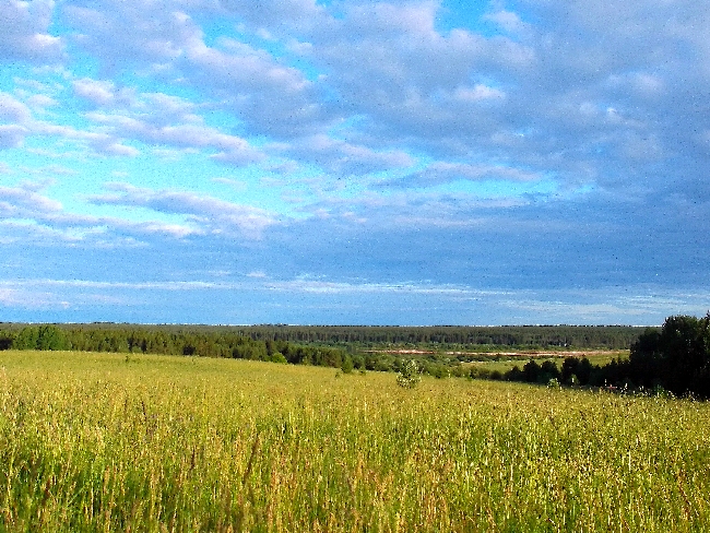 Белая ночь. 2959