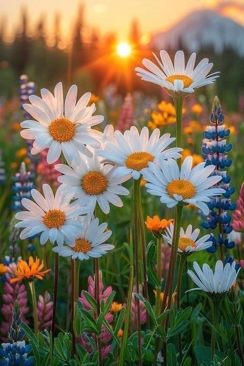 17 мая. С добрым утром друзья...