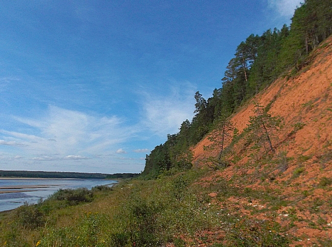 Белая ночь. 2960