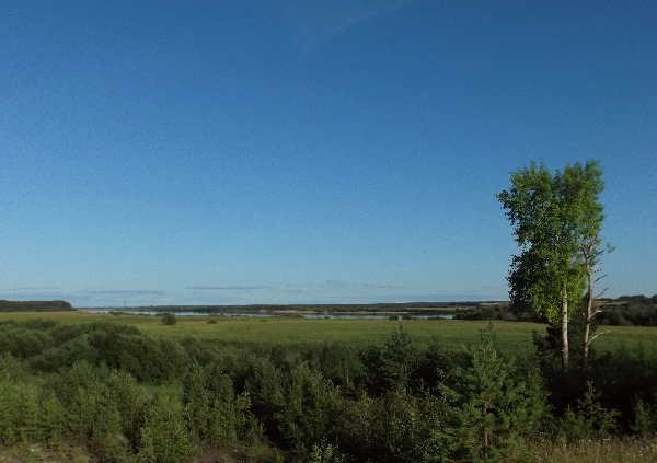 Белая ночь. 2970