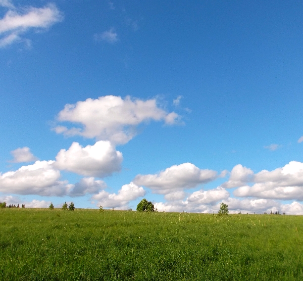 Белая ночь. 2966