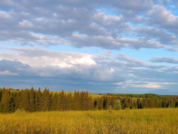 Белая ночь. 2974