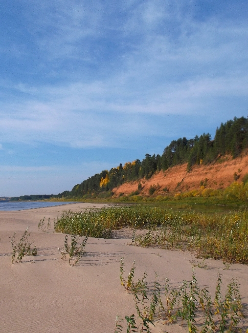 Белая ночь. 2977