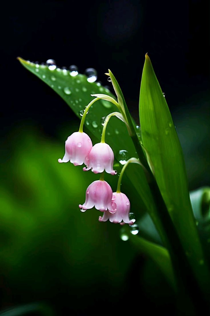 ты должен жить...