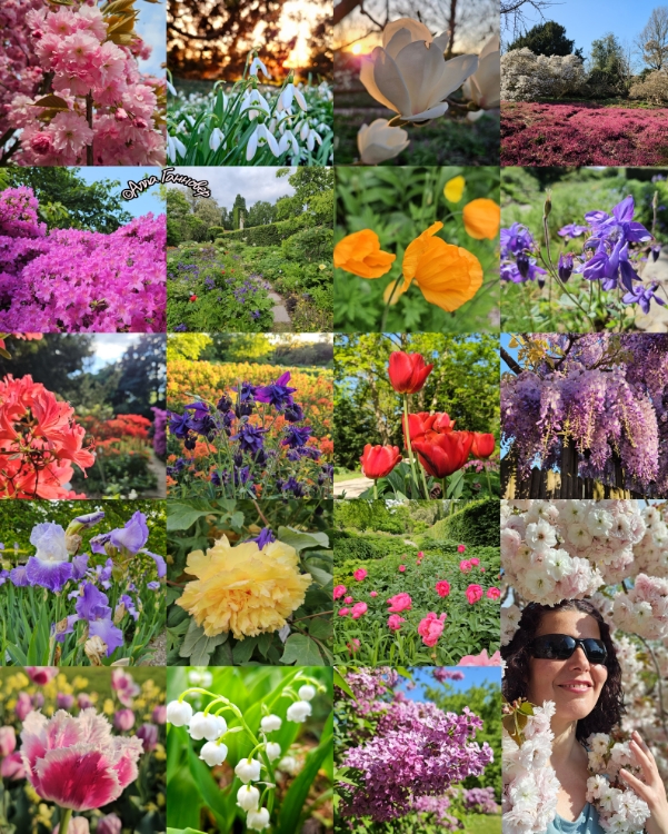 из сада в сад, гуляя в мае...