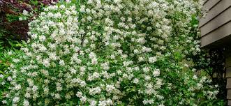 В последние дни весны